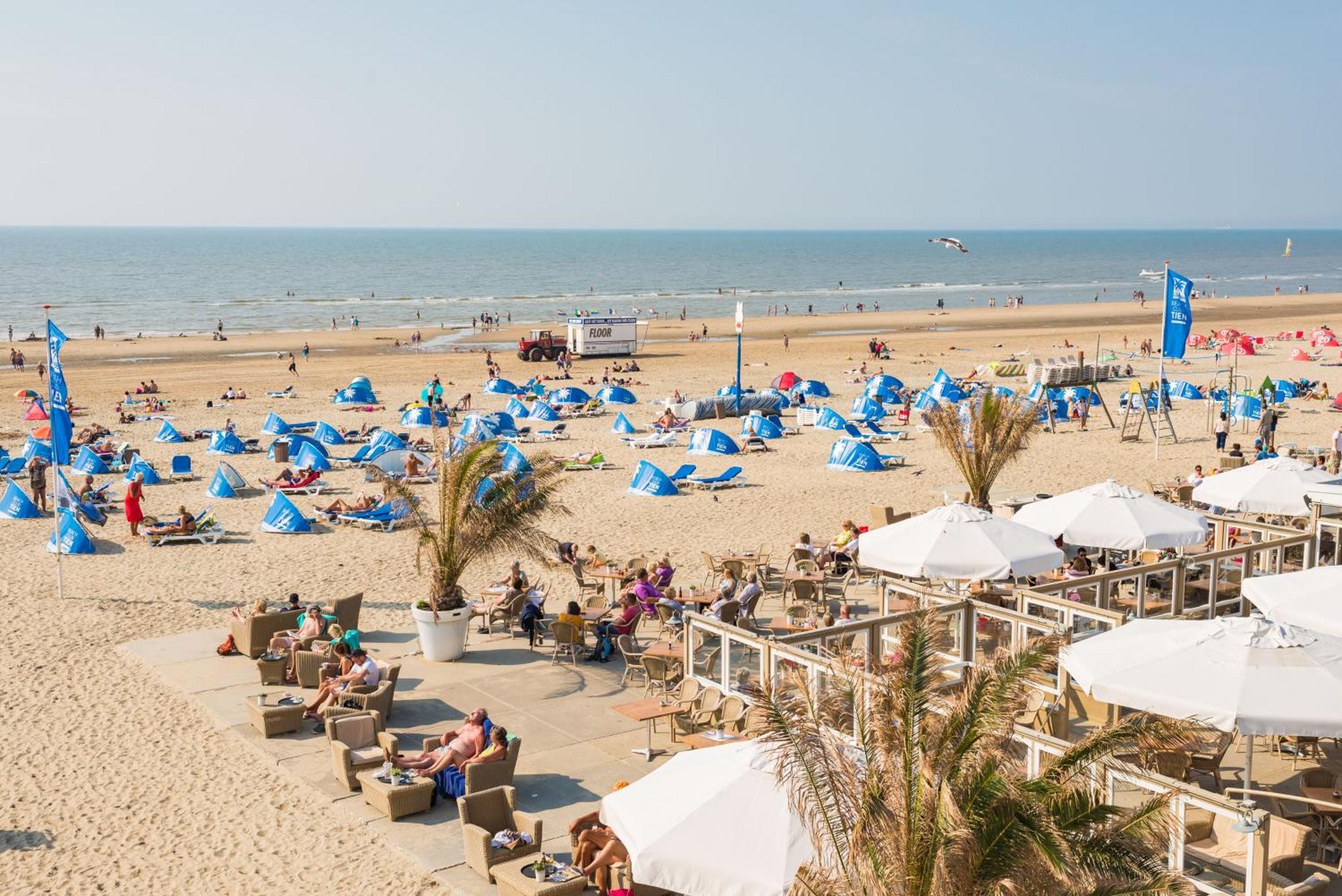 Marley'S Beachhouse - Luxury Apartment With Garden Zandvoort Exteriér fotografie